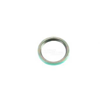 Oil seal