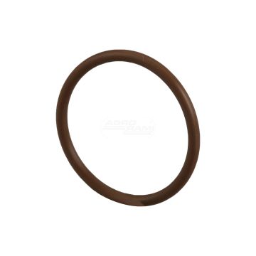 O-ring