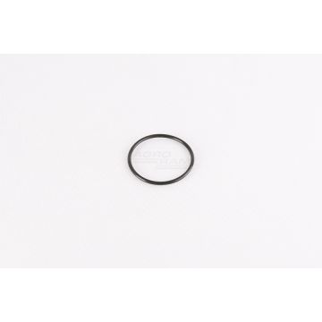 Joint torique de pompe à eau