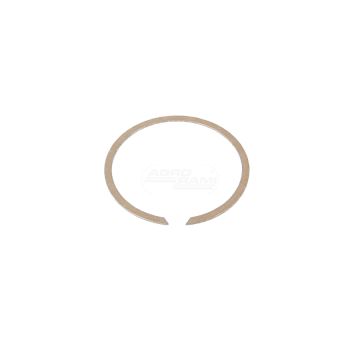 Pierścień sprężysty