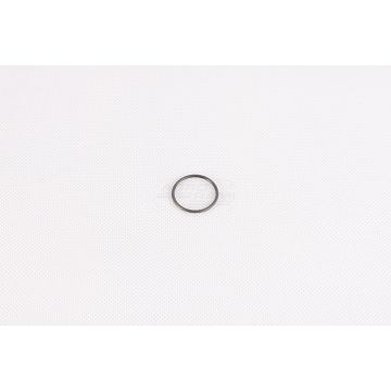 O-ring CNH