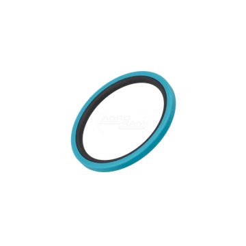 Sealing ring