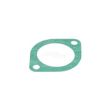 Thermostat gasket