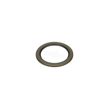 Oil seal
