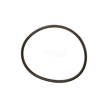 O-ring*