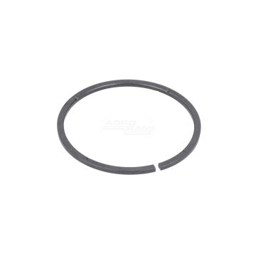 Oil seal