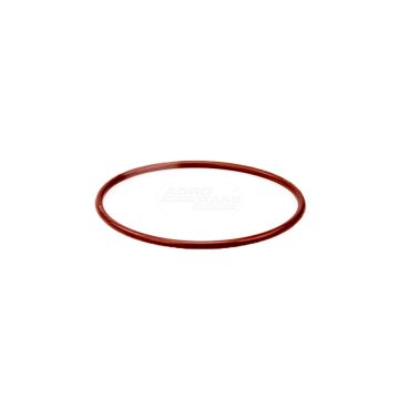 O-ring*