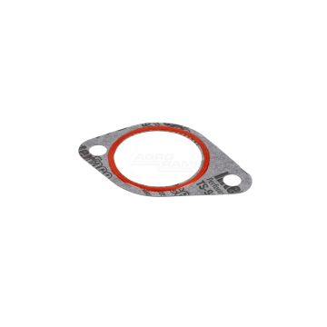 Thermostat gasket