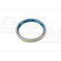 Oil seal