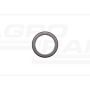 Rear crankshaft seal 504014232, ##, 504180969 Case IH