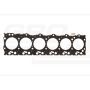 Heads gasket