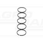 Piston ring