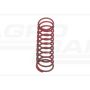Valve spring