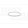 O-ring