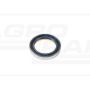 Oil seal