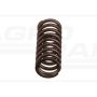 Valve spring