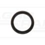 Seal fi 100mm Case IH 5123205
