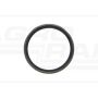 Oil seal