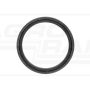 Oil seal