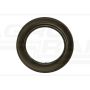 Oil seal