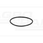 O-ring