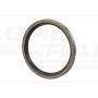 Oil seal