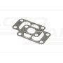 Turbine gasket