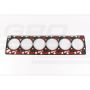 Heads gasket