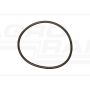 O-ring*